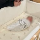 (주)아이맥소프트파워 | 아기침대 일룸 쿠시노 범퍼형, 엘라비아 S6, 벽가드 조합 내돈내산, 가격, 인조가죽 밀크오트, 냄새 빼기