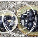 산들농장 | [무농약 블루베리] 순창 산들바람농장 – 싱싱함이 살아있는 착한 과일