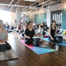 테라피 요가 이미지