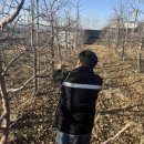 단양군 농업기술센터 이미지