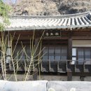 일직점곡로(일직면) 네이버블로그