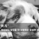 무지개다리 이미지