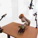 3 Hand gym 이미지