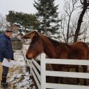 용미농장 이미지