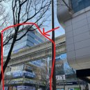 닥터손치과보철과치과의원 이미지