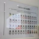 광사품태권도장 이미지