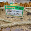 여주곤충박물관 이미지