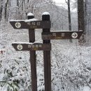 제113차 백덕산(1350m) 정기산행...눈꽃과 상고대에 취하다 이미지