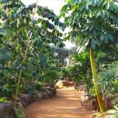 이화원(야외) 이미지