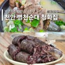 아우내농협 | 청화집 천안 맛집 필수코스 고소한 병천순대 블루리본 백년가게 가볼만한곳