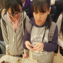 보령종합체육관 이미지