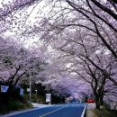 하동청국장 이미지