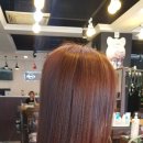 스펠라헤어메디컬 이미지