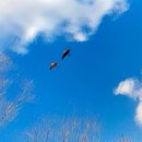 닥터 홍 동물병원 이미지