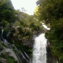 관음목욕탕 이미지