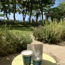 영도새마을금고(봉래지점) | [부산2박3일]부산 여행 필수 코스 _모모스커피 3곳 비교 후기 (본점 / 영도 / 마린시티)