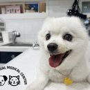 부산종합동물병원 이미지