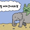 코끼리 환경 이미지