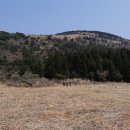 녹산사슴 이미지