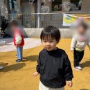 베이커리소풍 이미지