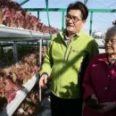 신사경로당 서울신문