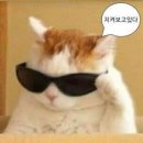 서핑브레드 | 빵덕후들 환장하는 강동 베이글 맛집, 서핑브레드 후기