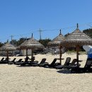 남애서핑클럽 이미지