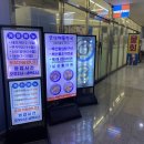 군산활어회 | 세종 보람동 맛집 [군산해물천국] 싱싱활어회 내돈내산 솔직후기