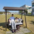 GR(인천광역시 옹진군)-33-하-1 | 🤎애견 동반 선재해림풀빌라-아이랑 대가족 동반 4월 여행(선재도/영흥도/대부도)