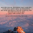 시작 - 부산진구 전포대로209번길 17-7 | 시작