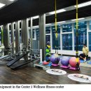 Banyan Tree Club&SPA Seoul Fitness club 이미지