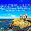샬롬 이미지