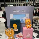쌤소나이트대구신세계