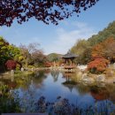 가을여행 이미지