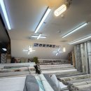이케아 횡단보도 | [부산 카페트 추천] 인터넷보다 싸다고?! 부산진시장 '동신카페트' 대형러그 내돈내산 후기