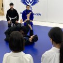 스웻바디라이프mma주짓수킥복싱 | 운정 주짓수 스웻바디라이프mma주짓수 킥복싱 방문 후 등록 후기~