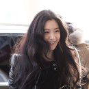 폴라리스 에이전시 이미지