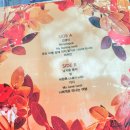초지슈퍼 | [Vinyl] 수원 스타필드 LP 즐길 수 있는 곳
