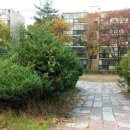 대창세탁소 이미지