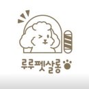 루루펫 티스토리