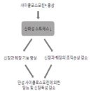 홍삼의신비