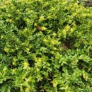 아트에비뉴부동산공인중개사사무소 이미지