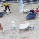 보고유치원 이미지