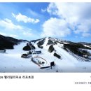 푸드모바일 | 웰리힐리 스노우파크 후기_할인 가격 셔틀 푸드코트 슬로프