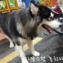 광동카페