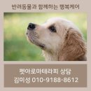 청아로마 이미지