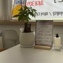 헤어다옴 | [광주 수완지구미용실] 디자이너 1:1 시술! 긴머리 레이어드커트 솔직후기 - 헤어다옴