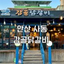 감골도서관 | 안산 사동 맛집 감골닭갈비 안산본점 닭갈비, 모둠사리, 볶음밥 추천 후기!