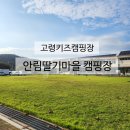 안림슈퍼 | 고령 키즈캠핑장 안림딸기마을캠핑장 l 26번 예비3번 예비4번 사이트비교 아이와 즐긴 할로윈캠핑 솔직후기