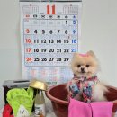 멍데이 살롱 이미지